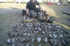 15675980_354455561600748_6925128119764160024_o